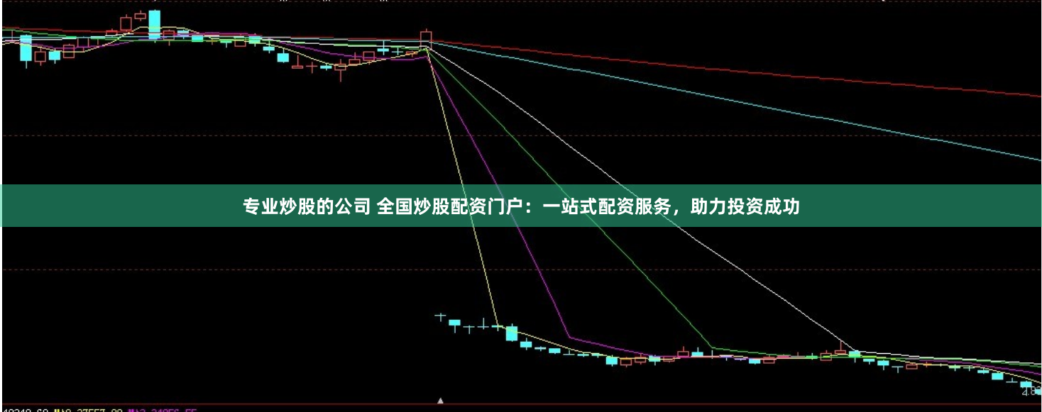 专业炒股的公司 全国炒股配资门户：一站式配资服务，助力投资成功