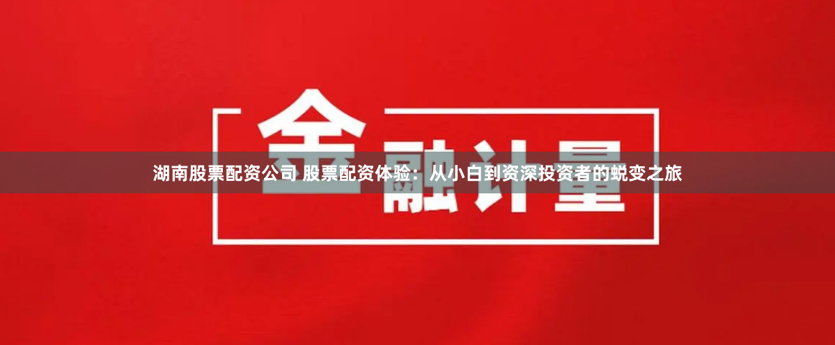 湖南股票配资公司 股票配资体验：从小白到资深投资者的蜕变之旅