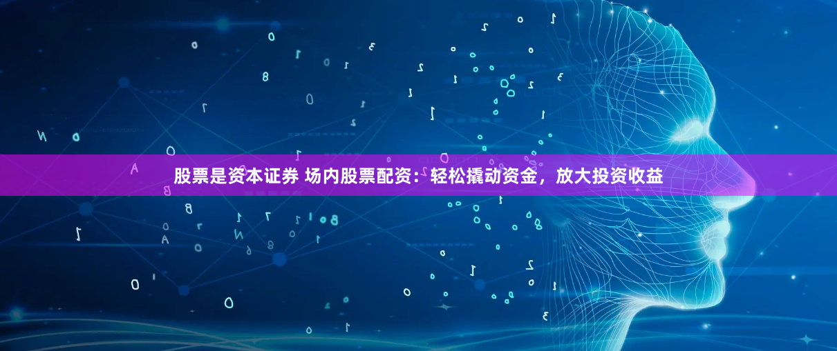 股票是资本证券 场内股票配资：轻松撬动资金，放大投资收益