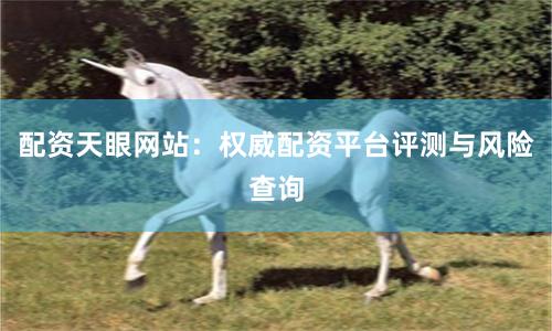配资天眼网站：权威配资平台评测与风险查询