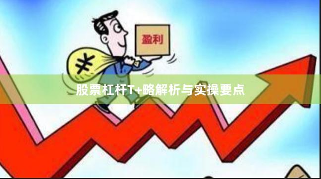 股票杠杆T+略解析与实操要点