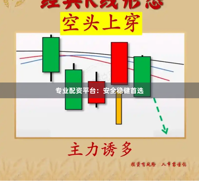 专业配资平台:安全稳健首选